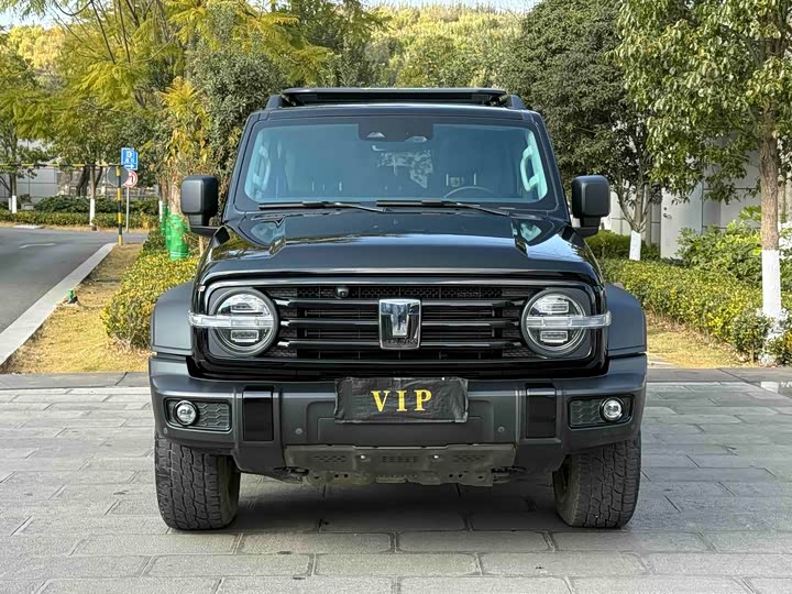 Фото 2 - Tank 300