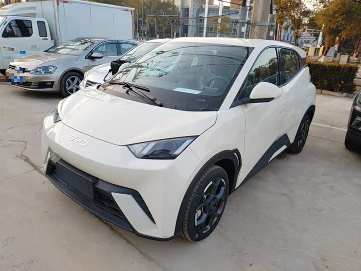 Фото 1 - BYD Seagull