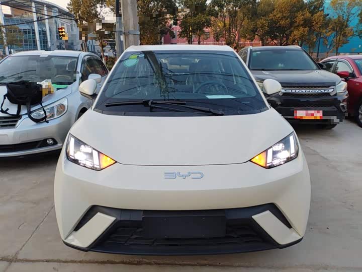 Фото 3 - BYD Seagull