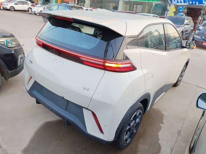 Фото 7 - BYD Seagull