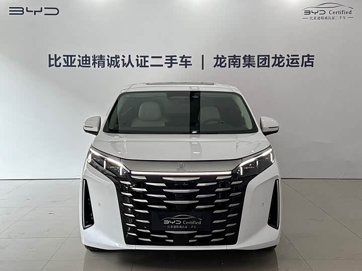 Фото 2 - BYD Xia