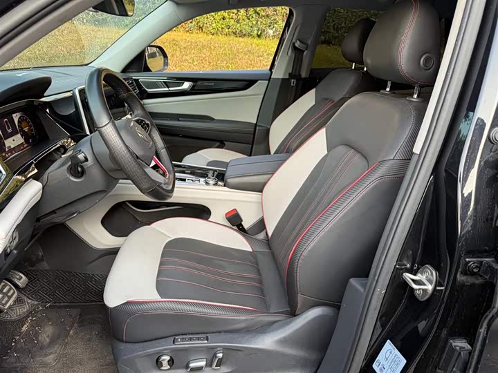 Фото 8 - Volkswagen Teramont X