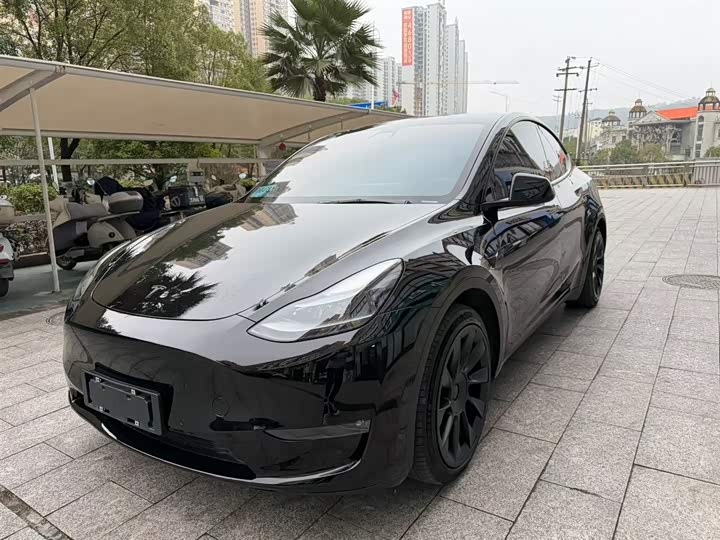 Фото 1 - Tesla Model Y