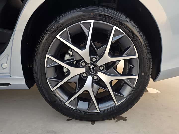 Фото 9 - GAC Trumpchi Empow R