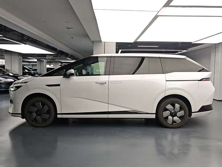 Фото 3 - XPeng X9