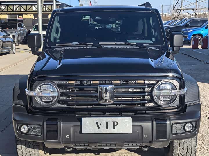 Фото 2 - Tank 300