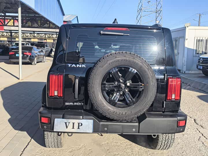 Фото 3 - Tank 300