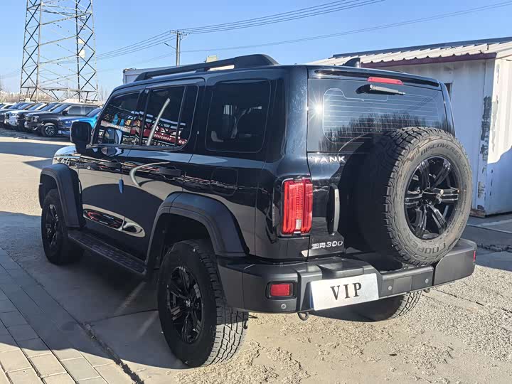 Фото 5 - Tank 300