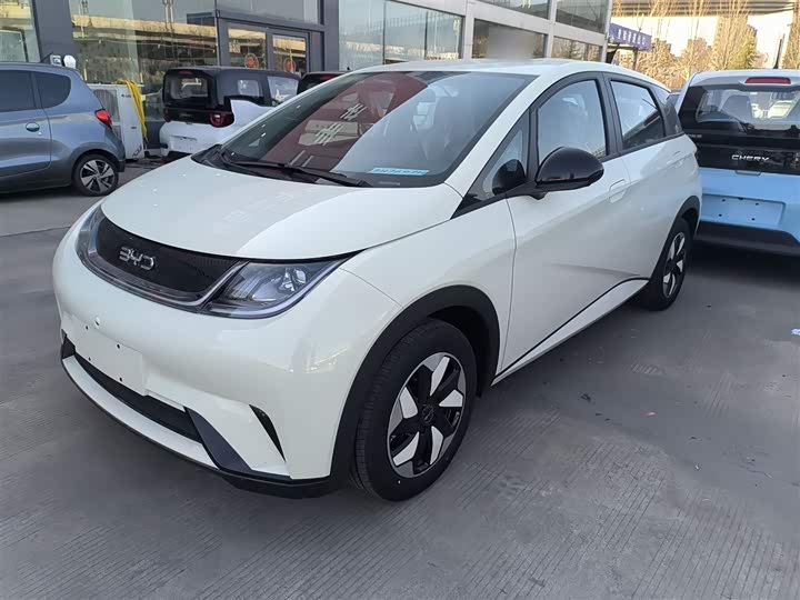 Фото 2 - BYD Dolphin