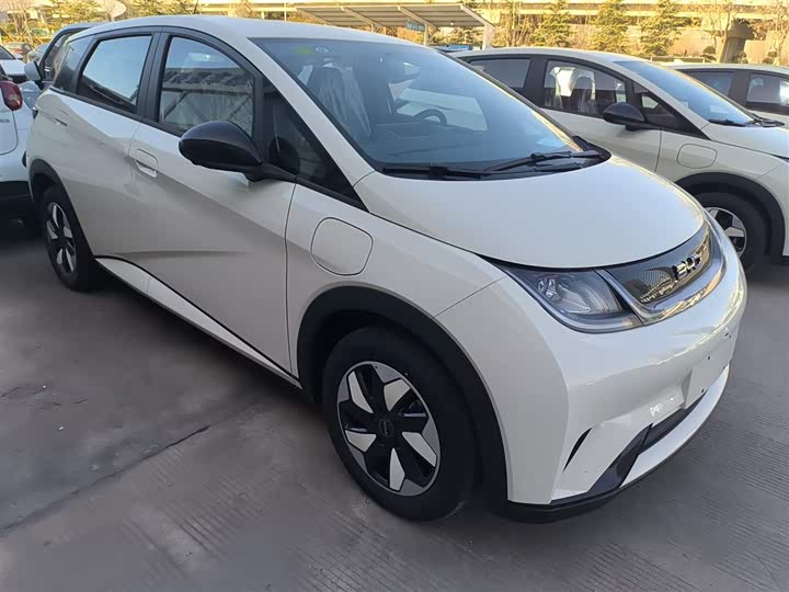 Фото 4 - BYD Dolphin