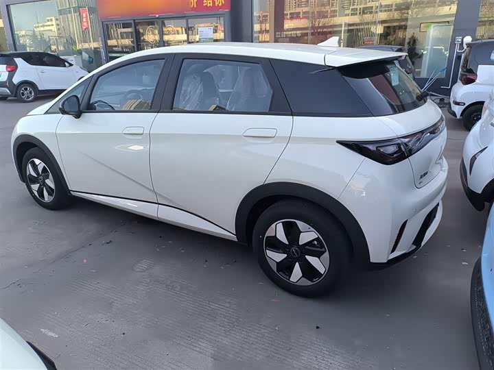 Фото 5 - BYD Dolphin