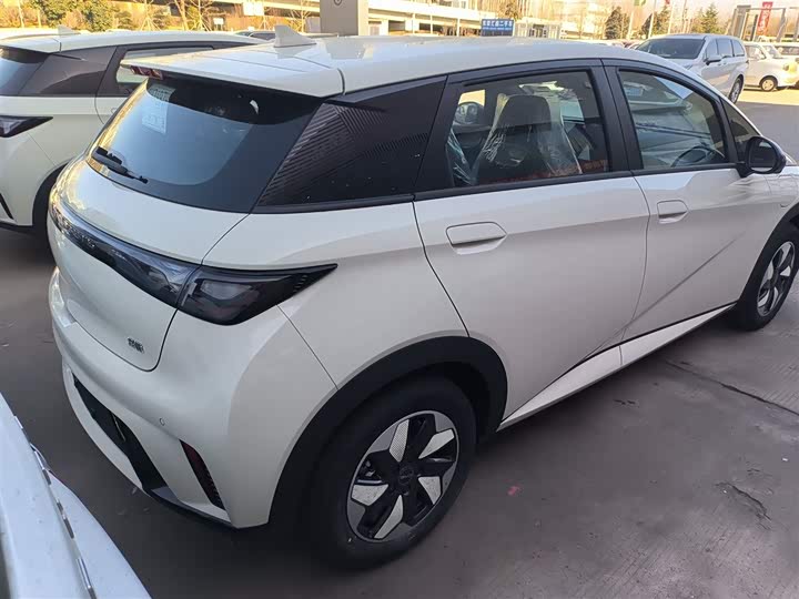 Фото 7 - BYD Dolphin