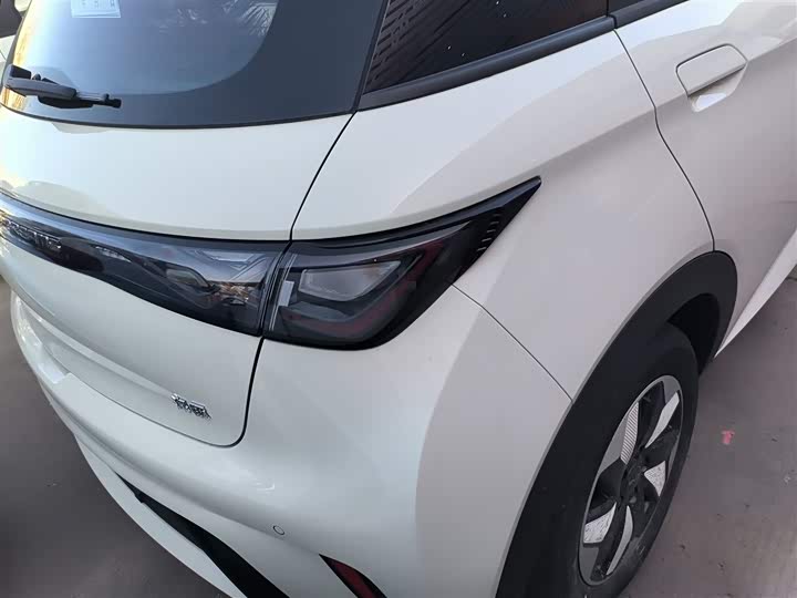 Фото 8 - BYD Dolphin