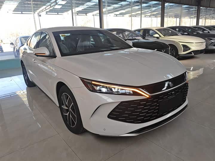 Фото 4 - BYD Qin L