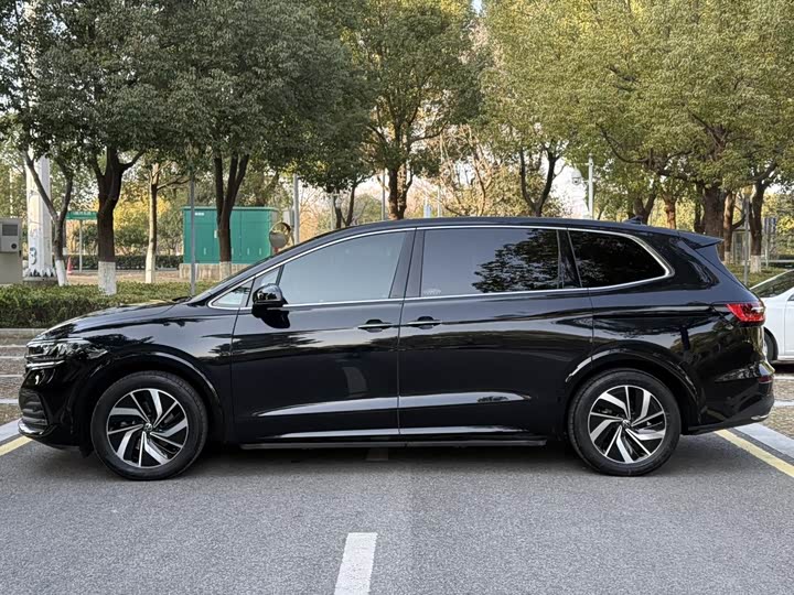 Фото 6 - Volkswagen Viloran