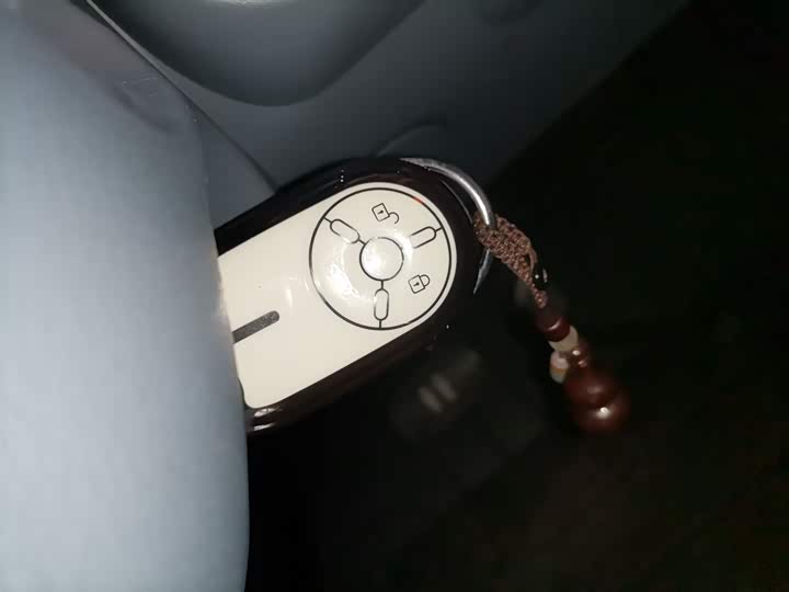 Фото 9 - Bestune Pony