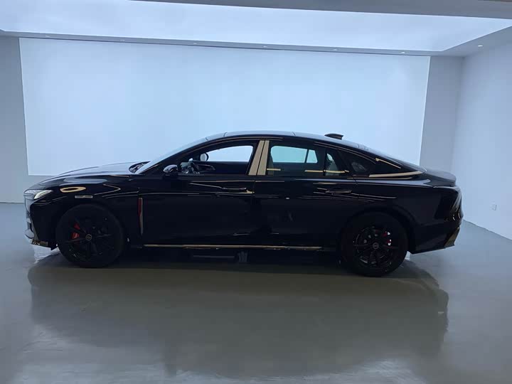 Фото 4 - Hongqi H6