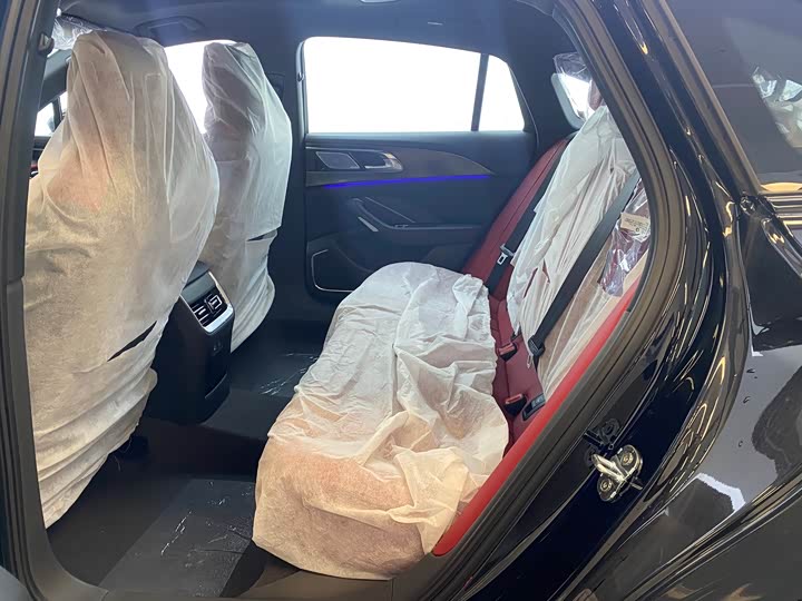 Фото 7 - Hongqi H6