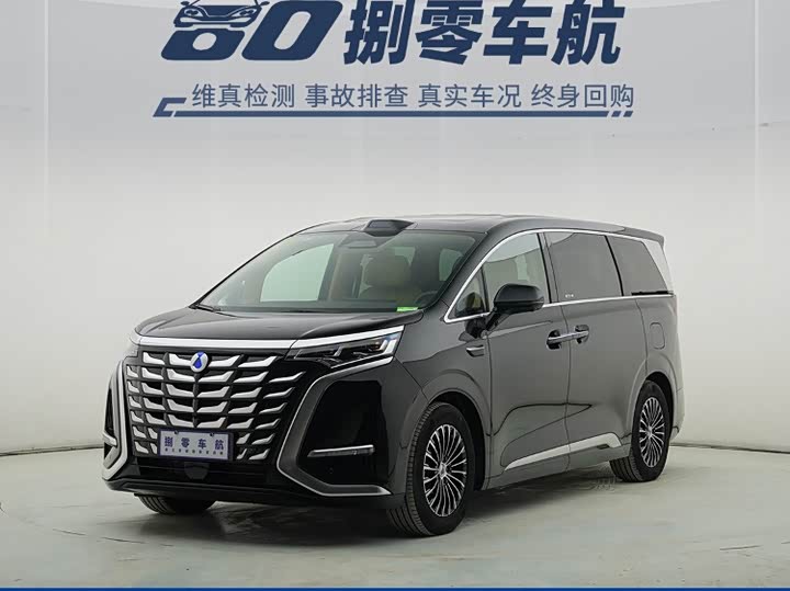 Фото 1 - Denza D9