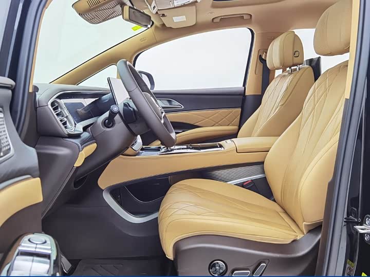 Фото 4 - Denza D9