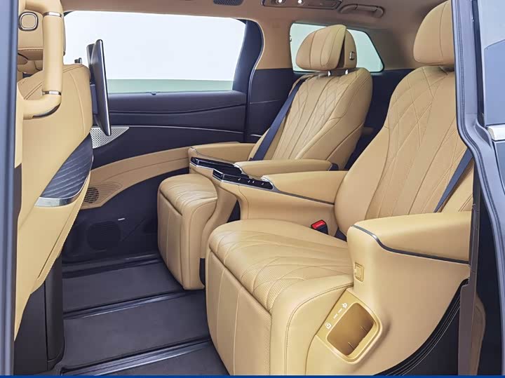 Фото 5 - Denza D9