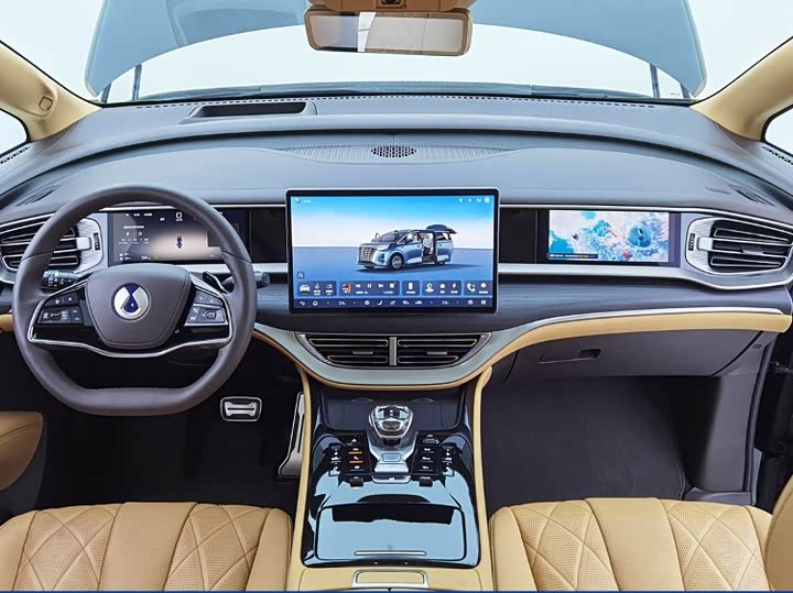 Фото 6 - Denza D9