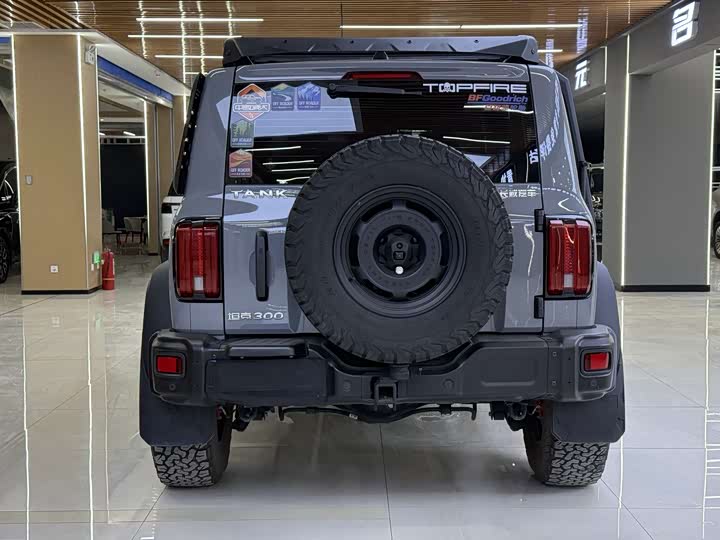 Фото 5 - Tank 300