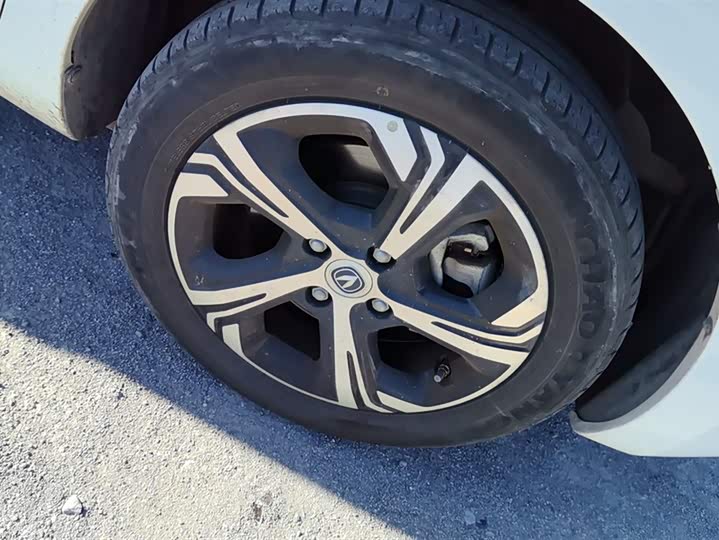 Фото 6 - Changan BenBen E-Star