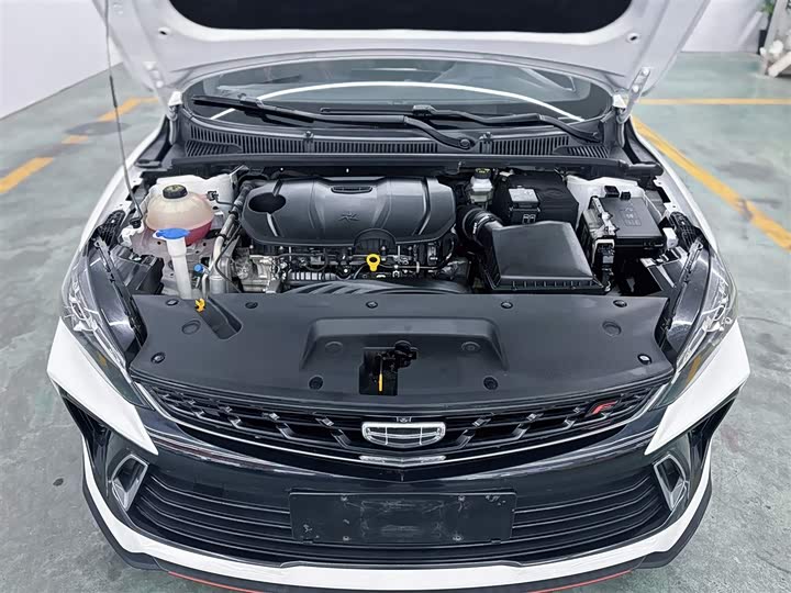 Фото 4 - Geely Binrui