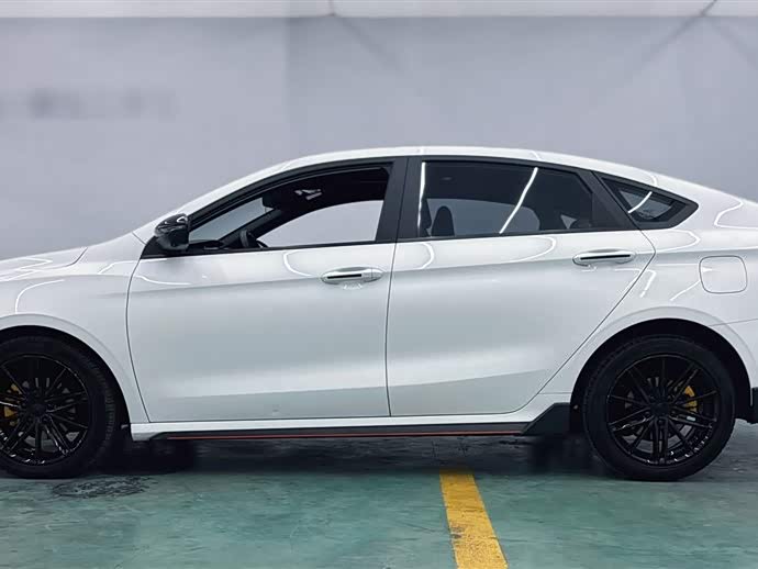 Фото 8 - Geely Binrui