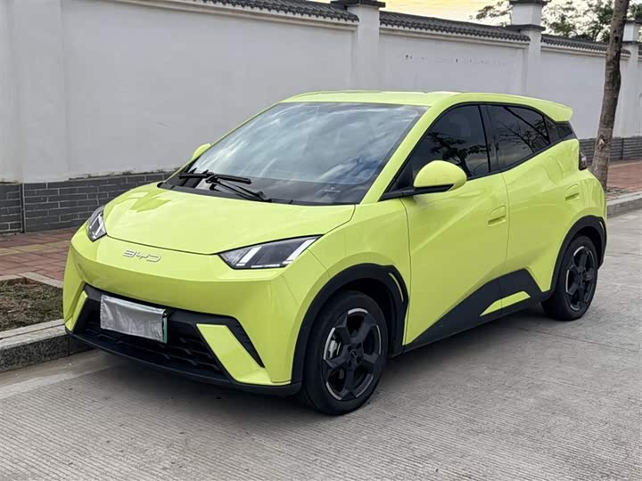 Фото 3 - BYD Seagull