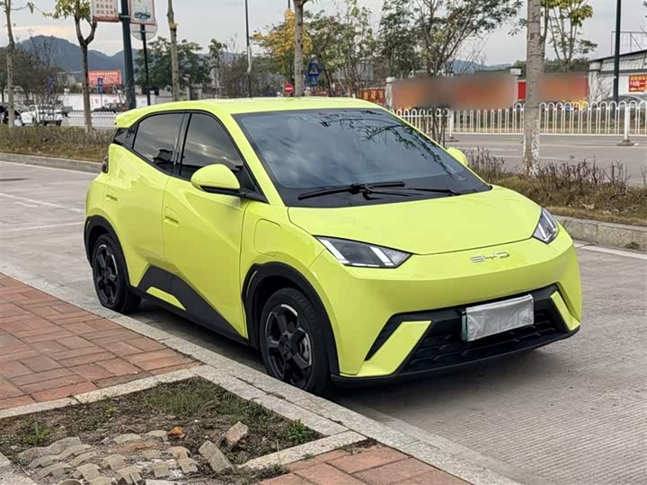 Фото 7 - BYD Seagull