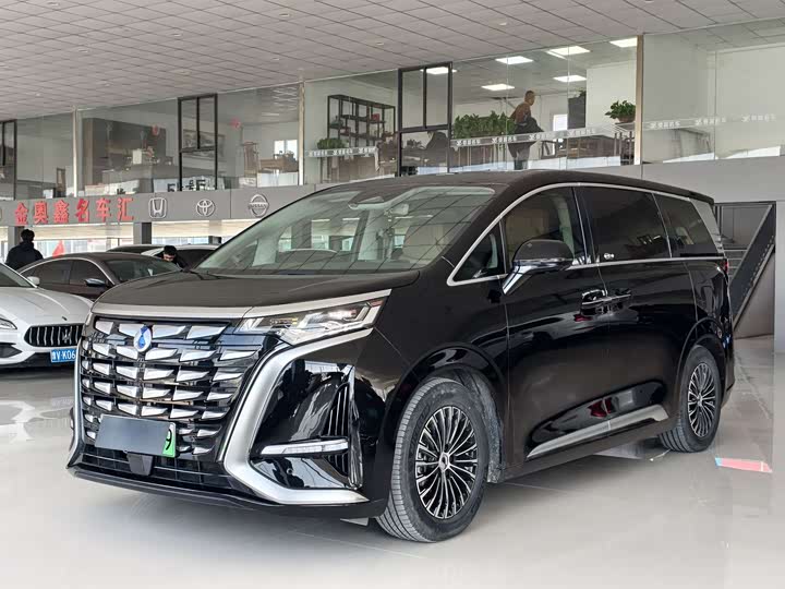 Фото 1 - Denza D9