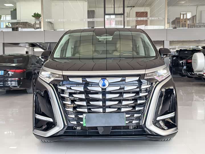 Фото 2 - Denza D9