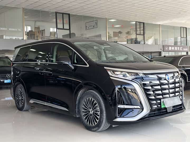 Фото 3 - Denza D9