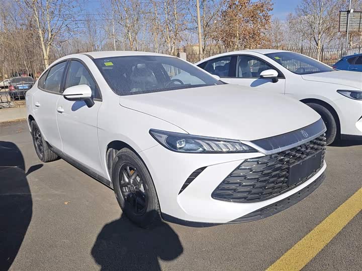 Фото 4 - BYD Qin Plus