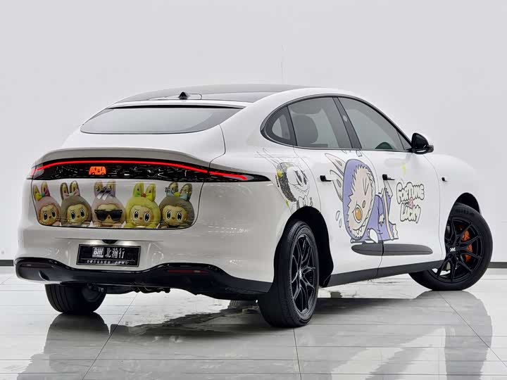 Фото 5 - IM motors LS6