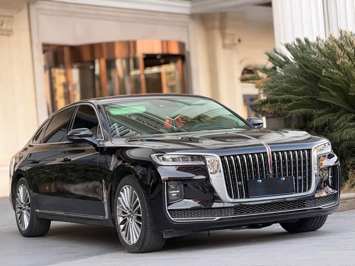 Фото 4 - Hongqi H9