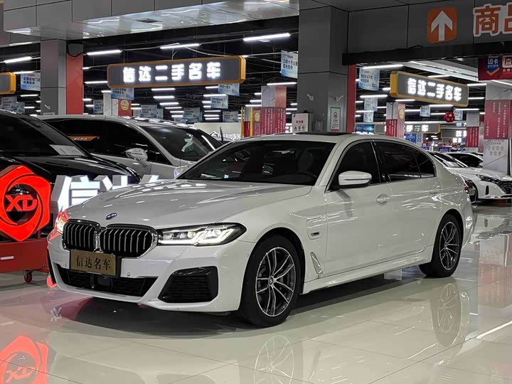 Фото 1 - BMW 5 Series Hybrid