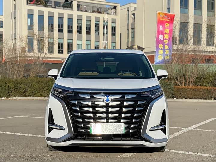 Фото 2 - Denza D9