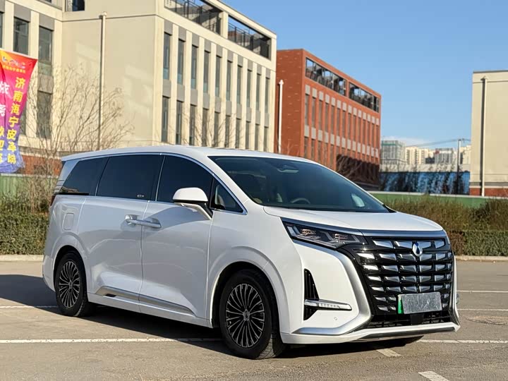 Фото 3 - Denza D9