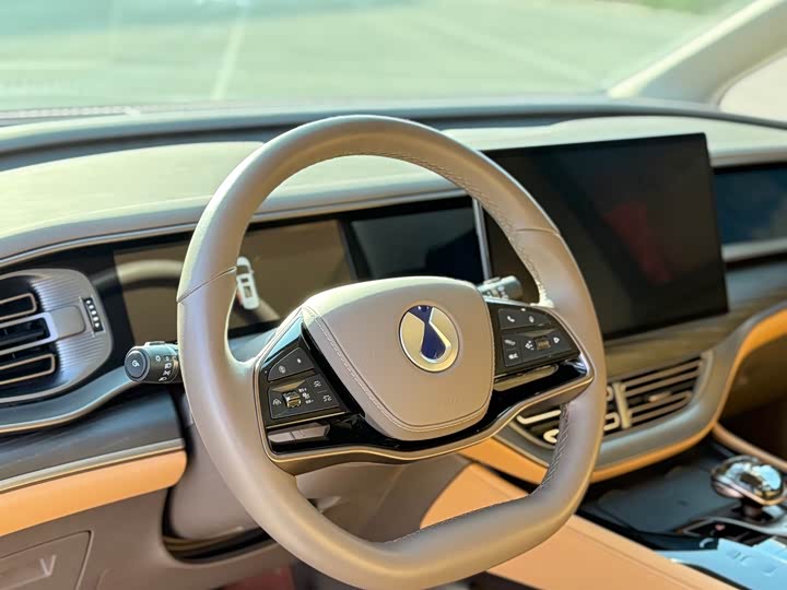 Фото 7 - Denza D9