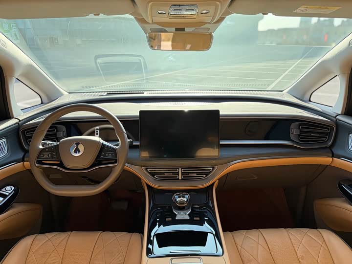 Фото 8 - Denza D9