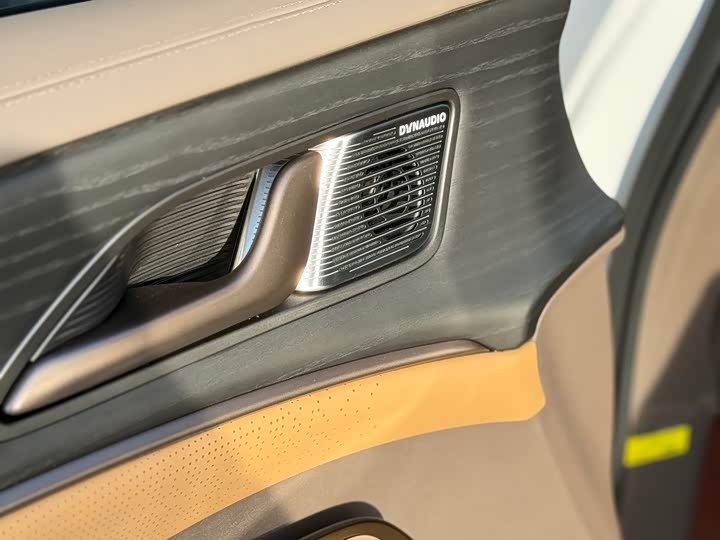 Фото 9 - Denza D9