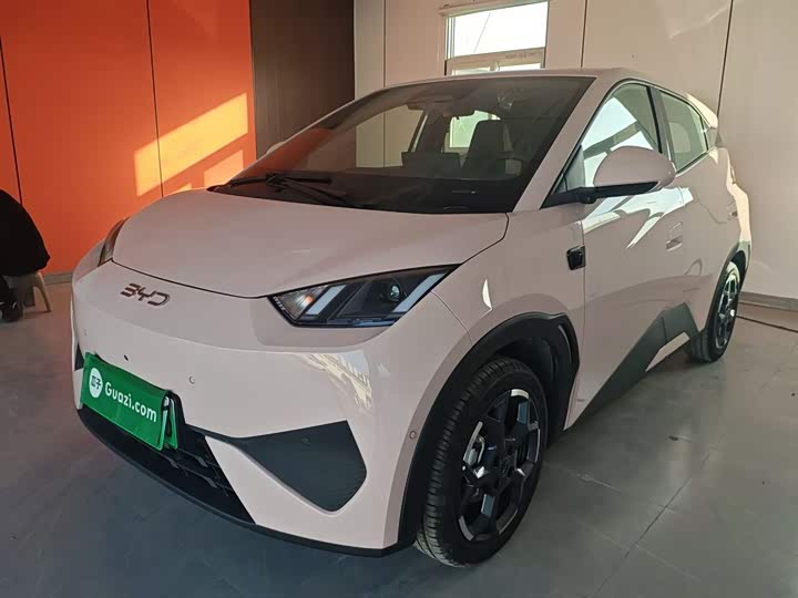 Фото 2 - BYD Seagull