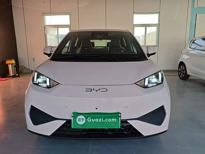 Фото 3 - BYD Seagull