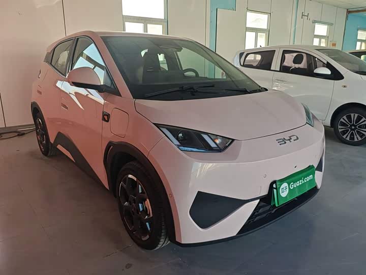 Фото 4 - BYD Seagull