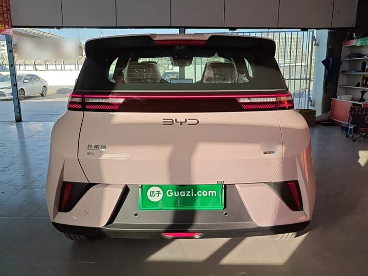 Фото 6 - BYD Seagull