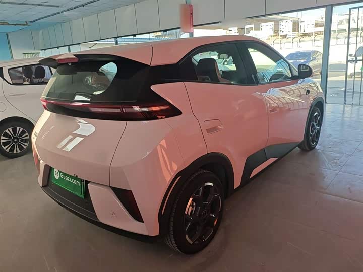 Фото 7 - BYD Seagull