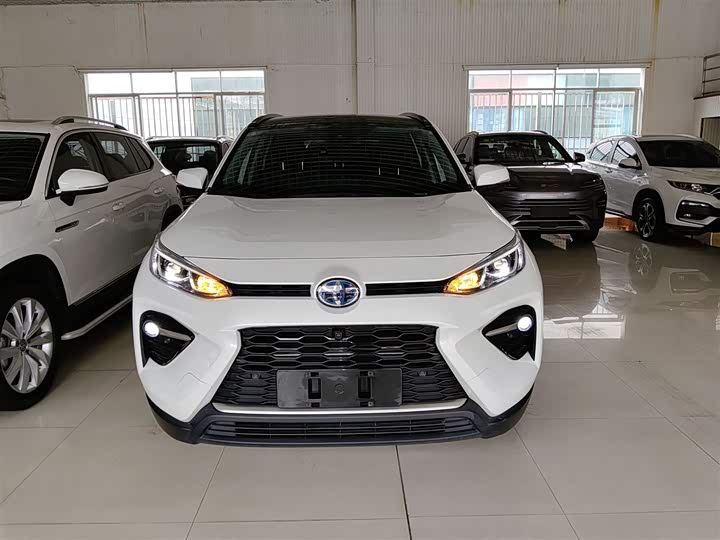 Фото 3 - Toyota Wildlander